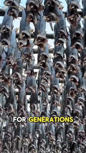 The Secret History of Dried Fish: One of the World's Oldest Food Preservation Methods