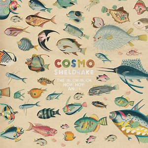 The Much Much How How and I — cosmo-sheldrake