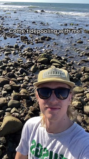 Exploring Tidepool Creatures: A Guide to East Rock Creatures