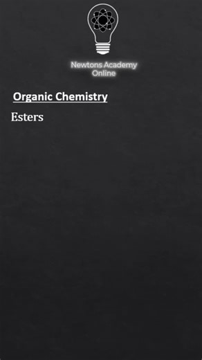 Newtons Academy on TikTok