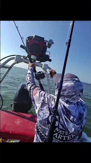 Blacktip Sharks out of Galveston, Tx #galvestonfishing #gsc #galvestonsaltwatercharters #fishing