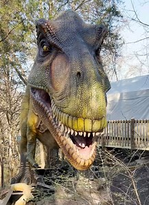 72K views · 1.5K reactions | The king has arrived. 練 With a massive...