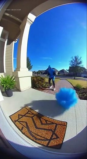 Package Thief Gets PAINT BOMBED!