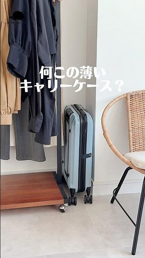 場所を取らない『折りたためる』キャリーケース🦔✈️#styleonbag #スタイルオンバッグ #ハリネズミ #scandinavianforest #便利 #キャリーケース #スーツケース