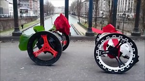 99K views · 1.1K reactions | A red rose for your loved one <3 Happy Valentine's Day ! | Parrot | Facebook