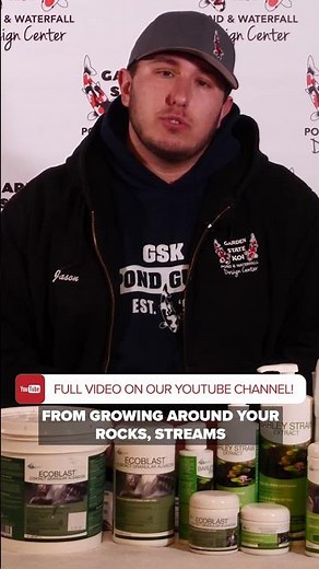 Transform Your Pond with Barley Straw Extract! #pondmaintenance #algae