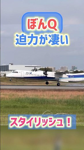尖ったクチバシ！DHC-8-Q400の着陸！#伊丹空港#スカイパーク #伊丹空港 #飛行機 #departure #ana