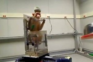 46K views · 545 reactions | Monkeys equipped with wireless brain...
