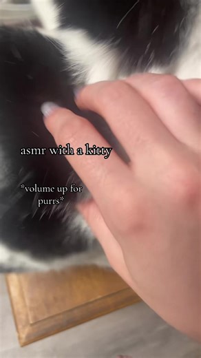 ASMR Relaxation with a Loving Kitty