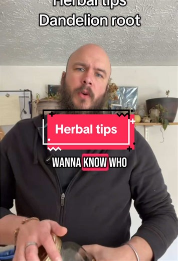 Herbal tea 🌿 Dandelion Root – Herbal Tea Ingredient Spotlight 🌿 This herbal tea spotlight is all about dandelion root, a classic bitter botanical traditionally used to support digestion, liver function, and the body’s natural elimination pathways. Dandelion root herbal tea is a beautiful fit for people who enjoy grounding, earthy herbs and want to build a wellness routine around gentle daily support rather than anything harsh or dramatic. It has a long history of use, and while it does call fo