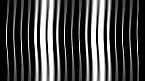 Rite of Spring Abstract Animation