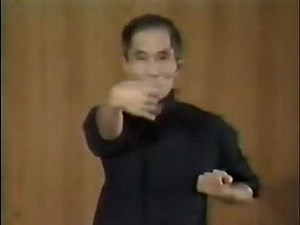 🜂 “Original Wing Chun – The Art of Efficiency and Flow”