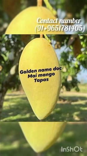 all india home delivery available #shorts #plantnursery #agriculture ‪@theplantslant2431‬