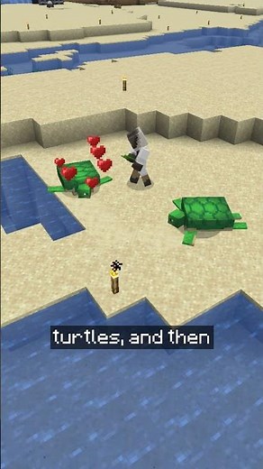 How To BREW Turtle Master Potions In Minecraft