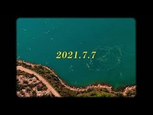 猫戦 「ヴァーチャル・ヴァカンス」(Official Teaser Video)