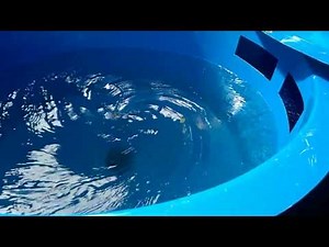 filtration bassin koi MB XL Vortex