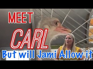 Lester Has Been Ostracized! #HeyCarl