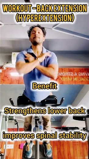 back extension machine | back extension