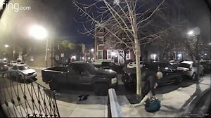 Caught on video: Equipment stolen from South Philadelphia beekeeper