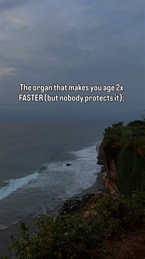 Maksym Tykhonchuk on Instagram: "1. The pancreas - the main organ of longevity. Not the heart, not the brain, not even the liver. It is the one that controls metabolism, absorption of protein and sugar, inflammation, and energy levels. When it weakens – everything falls apart. Symptoms are vague: heaviness, bloating, brain fog, weakness. And while you “treat the gut” and take enzymes, it just keeps burning out. 2. The most harmful for it is not sugar or alcohol. But chaotic eating, coffee on an 