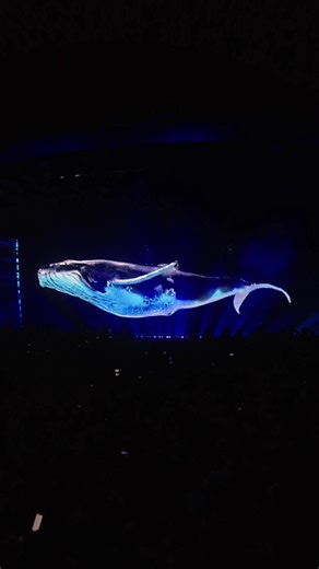 Diving into Mondays 🐋 #HOLO #HOLOibiza #ericprydz #pryda #ibiza #ibiza2023 #rave #ibizaparty #ibizalifestyle #nightclub #whale #visuals #vj