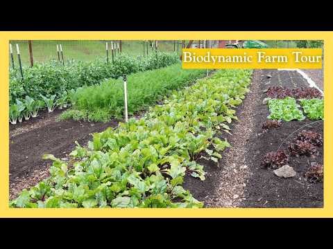 Biodynamic Farm in May: Mid Spring Farm Tour