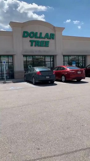 dollartree_craft on TikTok