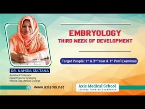 Embryology | Third Week of Development