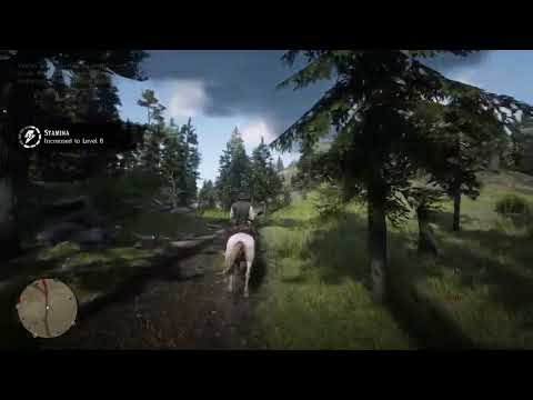 Red Dead Redemption 2 Cruel World