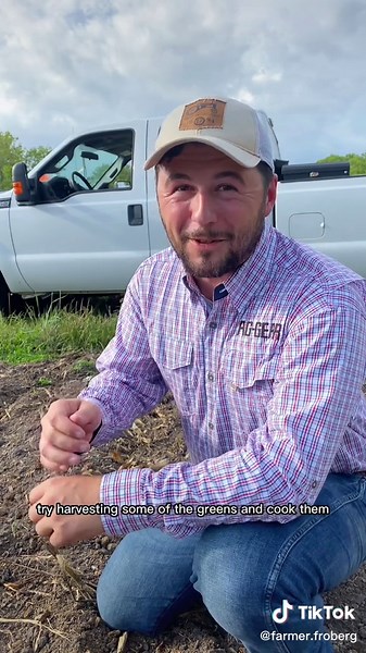 Top 5 Fall Crops for Your Garden: A Gardening Guide