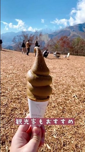 【長野絶景スポット】絶対見逃せない！紅葉絶景スポットin長野☆#shorts