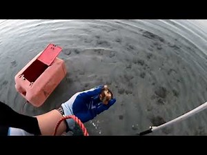 "Exploring the Beauty of Seashells: A Guide to Collecting Different Types"