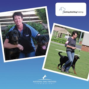 🐾 Meet Kate Baker, the passionate Head Trainer and Owner of Barking Mad Dog Training! Based in Melbourne, Kate specializes in setting puppies up for success with a holistic approach tailored to each dog and owner’s unique needs. With years of experience in competitive obedience and therapy work, Kate knows how to help your furry friend thrive. 🐶✨ 📍 Servicing Melbourne and surrounding suburbs. #BarkingMadDogTraining #PuppyTraining #melbournedogs | NDTF - National Dog Trainers Federation - Aust