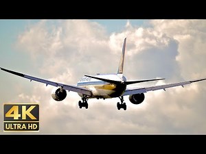 【4k大迫力premium飛行機映像】離着陸〜福岡国際空港〜.ana.jal.Live.plane spotting.fukuokaJapan/vlog.a320.b787.