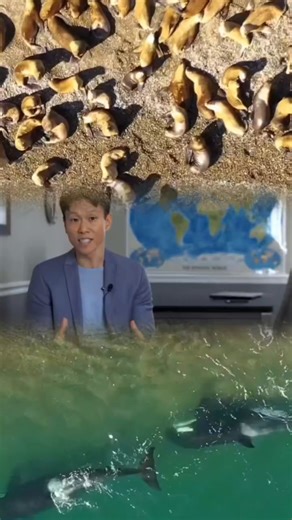 ¡El problema con los micro y nanoplásticos es que afectan a cada ser humano y a toda la vida en este planeta! ➡️ Mira el documental: Factor Antropogénico en la Muerte del Océano | Documental de Divulgación Científica | AllatRa Movimiento Internacional Social