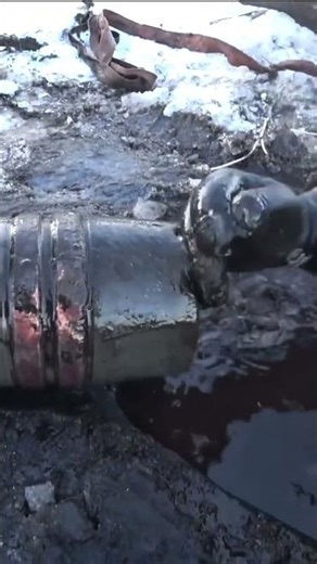 WWII Relics Pulled Out of a Forgotten Swamp