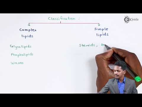 Lipids - Biomolecules - Chemistry Class 12