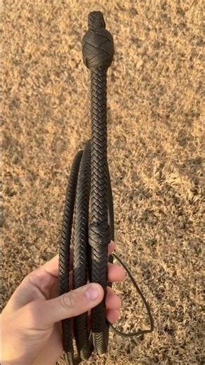 Paracord bullwhip #cool #indianajones #fastdraw #shortsvideo #shorts #shortvideo #shortsfeed #whip