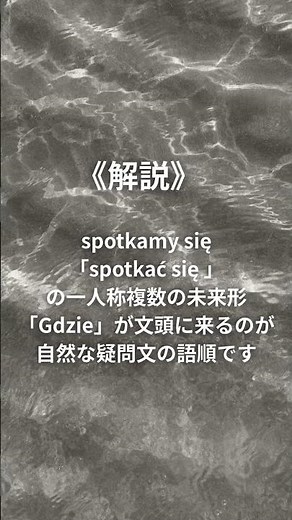 【🇵🇱語】１日１単語学習 #ポーランド語 #勉強