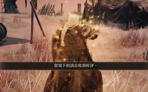 老头环 当你写下的讯息受到好评 但十有八九都是这样的