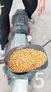 Excelente la verdad estoy que pido una procesadora de ésas para nuestros criaderos @fans destacados | Alimentación y crianza de gallos finos