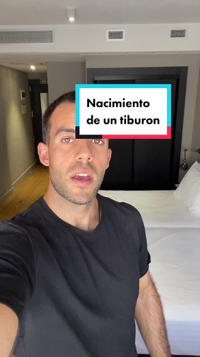 🦈 Principalmente destacan 3 tipos de reproducción: 👉 Vivíparos (como el caso del video): los tiburones dan a luz a crias vivas. Hay una placenta que otorga nutrientes y alimento a la cría dentro de la madre. 👉 Ovíparo: después de aparearse las hembras depositan los huevos en el fondo marino. Tienen aspecto de cápsula y algunos han desarrollado la capacidad de aferrarse a las algas. 👉 Ovovivíparo: los huevos son almacenados dentro de la madre hasta el momento de la eclosión. 🦈 Los tiburones 