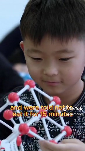 Marshmallow Test: Resilience or Reward? In this video, we examined the groundbreaking psychological experiment known as the Marshmallow Test. This experiment investigated the delayed gratification skills of 4-6 year old children and their tendencies to invest in the future. What Happened? Children were given a single marshmallow. They were instructed not to eat it for 15 minutes. If they could resist for 15 minutes, they would receive a second marshmallow as a reward. What Do the Results Show? S