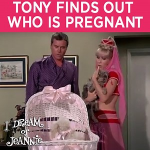 Tony (Larry Hagman) is over the moon when Roger (Bill Daily) tells him Jeannie (Barbara Eden) is pregnant, but has he got the right end of the stick? From Season 5 Episode 18 'Mrs. Djinn Djinn': Due to a silly misunderstanding, Roger tells everyone that Jeannie is expecting a child. However, it is actually Jeannie's dog, Mrs. Djinn Djinn, who is about to deliver puppies. Watch More 'I Dream Of Jeannie': http://bit.ly/IDOJPlaylist Subscribe: https://www.youtube.com/c/idreamofjeannieTV Get all sea
