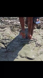 133K views · 1.1K reactions | Canal Mud Water Fishing #reels | BD Fishing Bhola | Facebook