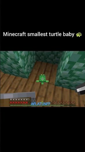 SMALLEST TURTLE BABY | MINECRAFT | #shorts