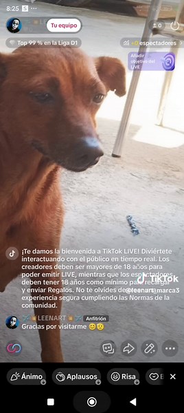 Tutorial para aprender a usar un bot en TikTok