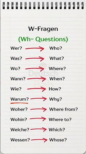 German W-Questions 🇩🇪 | Learn W-Fragen for Beginners (A1 Grammar) #german #germanforbeginners