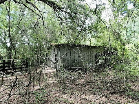 Abandoned Ranch in The Green Swamp Wilderness Preserve