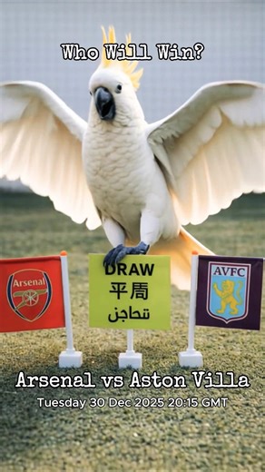 Watch Arsenal win the EPL End-of-Year 2025 against Aston Villa#2025#Arsenal#ArsenalFans#Football#YT